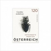 オーストリア2024年オサムシ切手1種