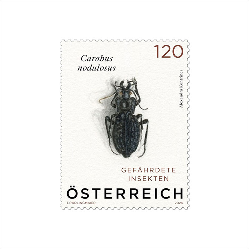 オーストリア2024年オサムシ切手1種