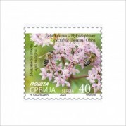 セルビア2023普通切手リプリント:蜂切手1種