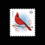 カナダ2022年クリスマス・猩々紅冠鳥切手1種
