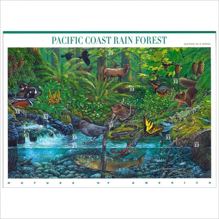 アメリカ2000年太平洋岸の熱帯雨林シート