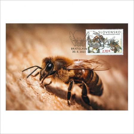 スロバキア2023年自然保護:ミツバチマキシマムカード